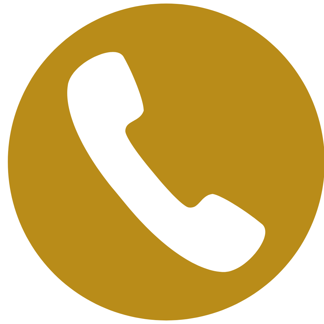 Phone Icon