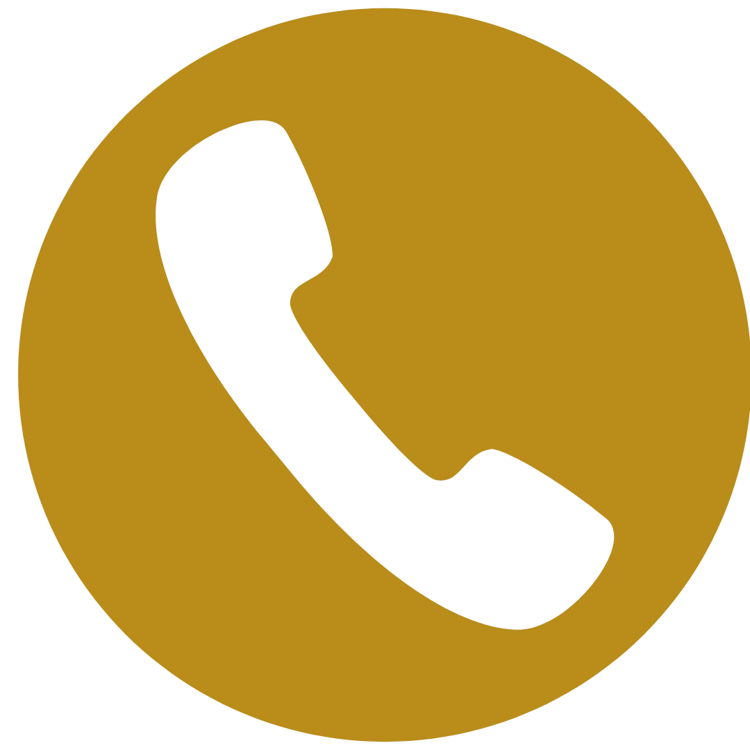 Phone Icon